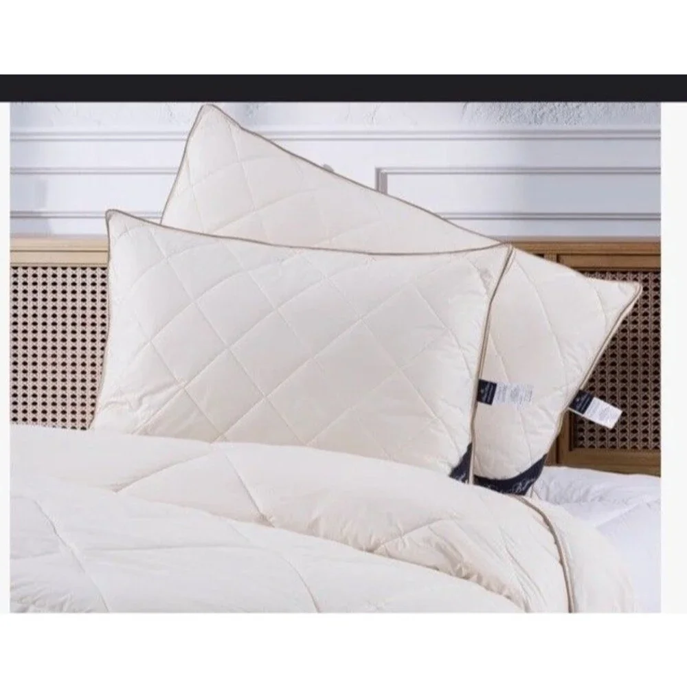 Brooks Brothers Set Of 2 Queen 100% Wool Pillows NWT $440